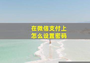 在微信支付上怎么设置密码