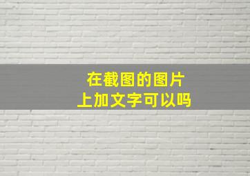 在截图的图片上加文字可以吗