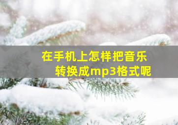 在手机上怎样把音乐转换成mp3格式呢