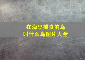 在海里捕食的鸟叫什么鸟图片大全