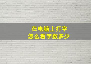 在电脑上打字怎么看字数多少