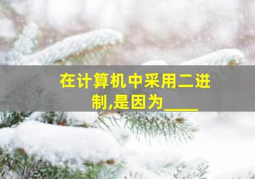 在计算机中采用二进制,是因为____