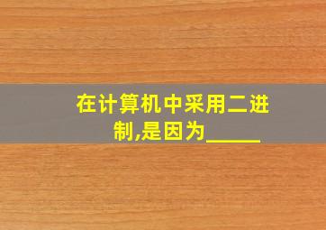 在计算机中采用二进制,是因为_____