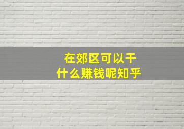 在郊区可以干什么赚钱呢知乎