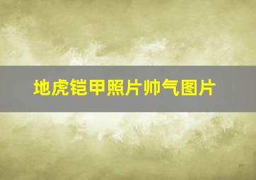 地虎铠甲照片帅气图片