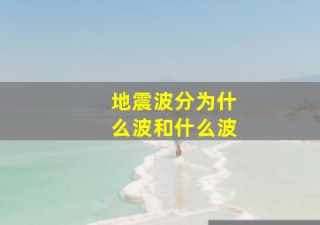 地震波分为什么波和什么波