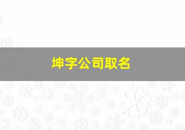 坤字公司取名