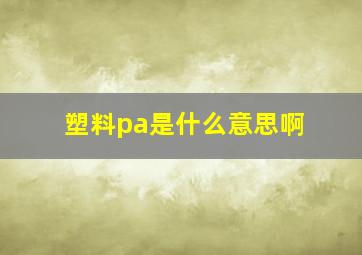 塑料pa是什么意思啊