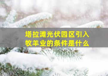 塔拉滩光伏园区引入牧羊业的条件是什么