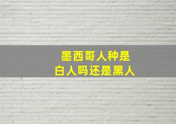 墨西哥人种是白人吗还是黑人