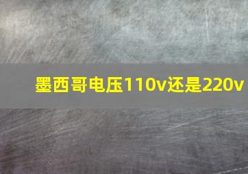 墨西哥电压110v还是220v