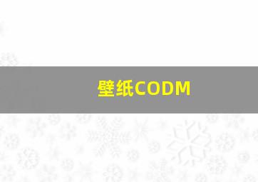 壁纸CODM