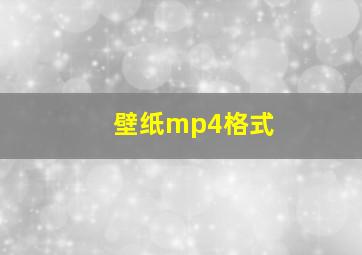 壁纸mp4格式