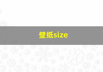 壁纸size