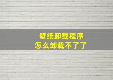 壁纸卸载程序怎么卸载不了了