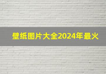 壁纸图片大全2024年最火