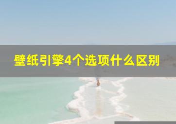 壁纸引擎4个选项什么区别