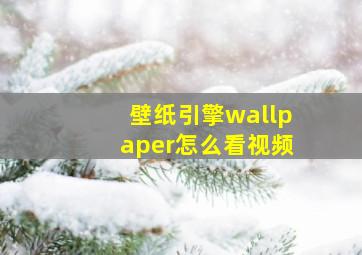 壁纸引擎wallpaper怎么看视频