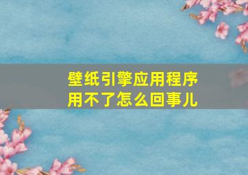 壁纸引擎应用程序用不了怎么回事儿