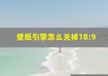 壁纸引擎怎么关掉18:9