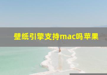 壁纸引擎支持mac吗苹果