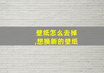 壁纸怎么去掉,想换新的壁纸