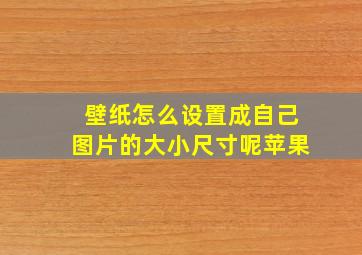 壁纸怎么设置成自己图片的大小尺寸呢苹果