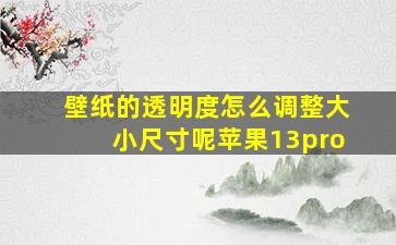 壁纸的透明度怎么调整大小尺寸呢苹果13pro