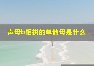 声母b相拼的单韵母是什么