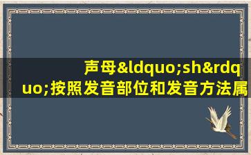 声母“sh”按照发音部位和发音方法属于