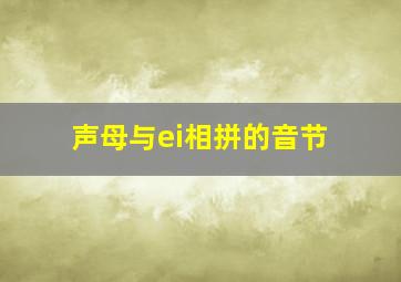 声母与ei相拼的音节