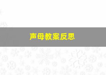 声母教案反思