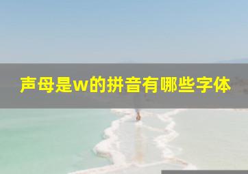 声母是w的拼音有哪些字体