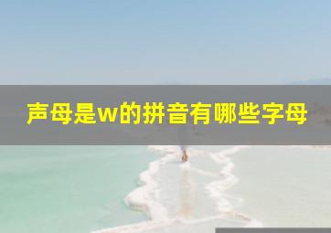 声母是w的拼音有哪些字母