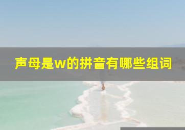 声母是w的拼音有哪些组词