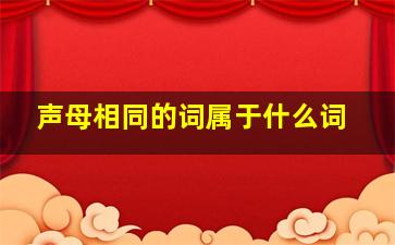 声母相同的词属于什么词