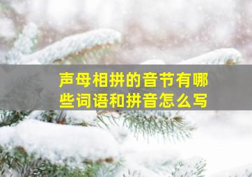 声母相拼的音节有哪些词语和拼音怎么写