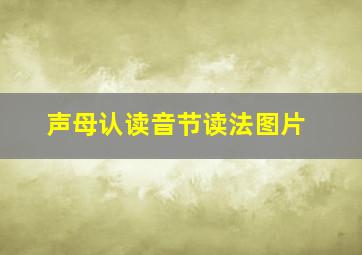 声母认读音节读法图片