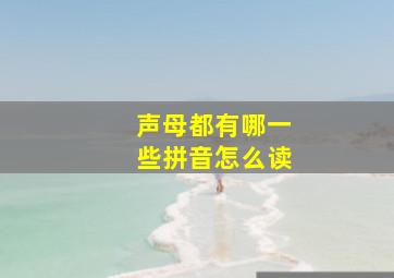 声母都有哪一些拼音怎么读