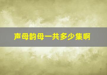 声母韵母一共多少集啊