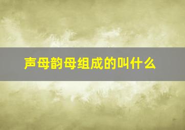 声母韵母组成的叫什么