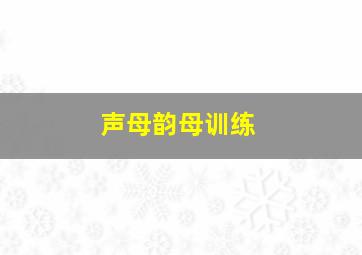 声母韵母训练