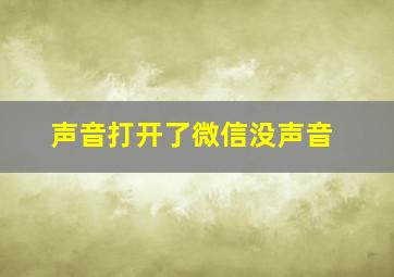 声音打开了微信没声音