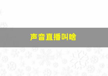 声音直播叫啥