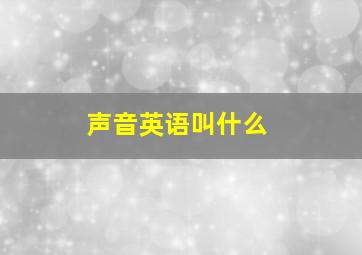 声音英语叫什么