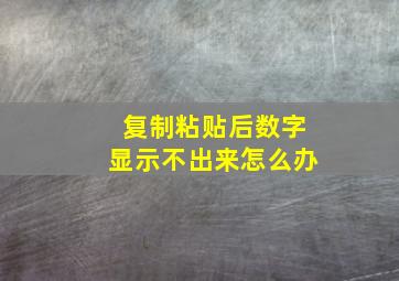 复制粘贴后数字显示不出来怎么办