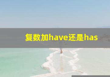 复数加have还是has