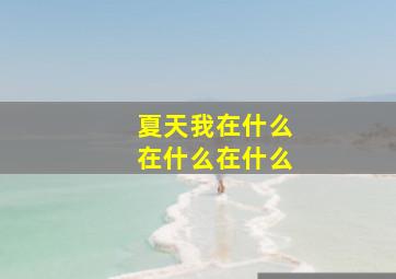 夏天我在什么在什么在什么