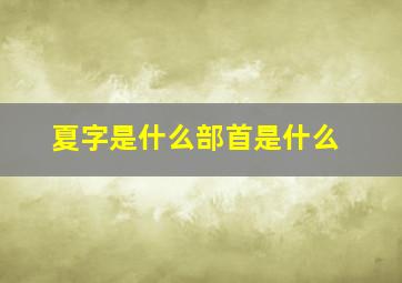 夏字是什么部首是什么