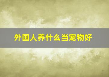 外国人养什么当宠物好